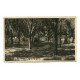 CHASCOMUS ANTIGUA TARJETA POSTAL CAMPAMENTO DE Y.M.C.A. RARA